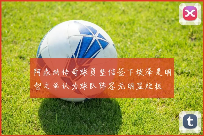 阿森纳传奇球员坚信签下埃泽是明智之举认为球队阵容无明显短板
