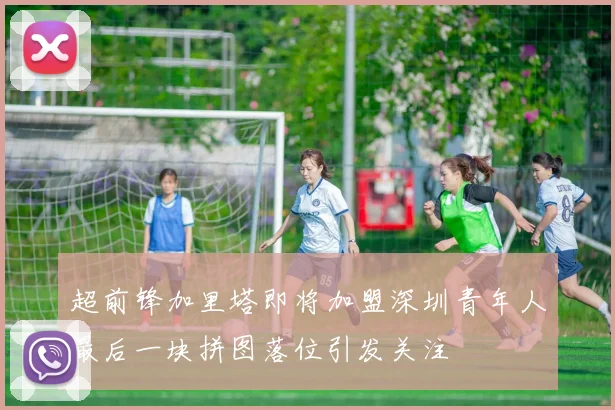 超前锋加里塔即将加盟深圳青年人最后一块拼图落位引发关注