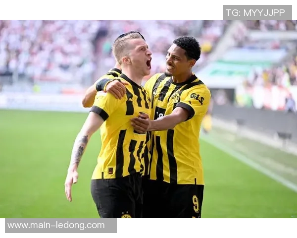 罗伊斯力挺布兰特留队多特未来合作前景可期